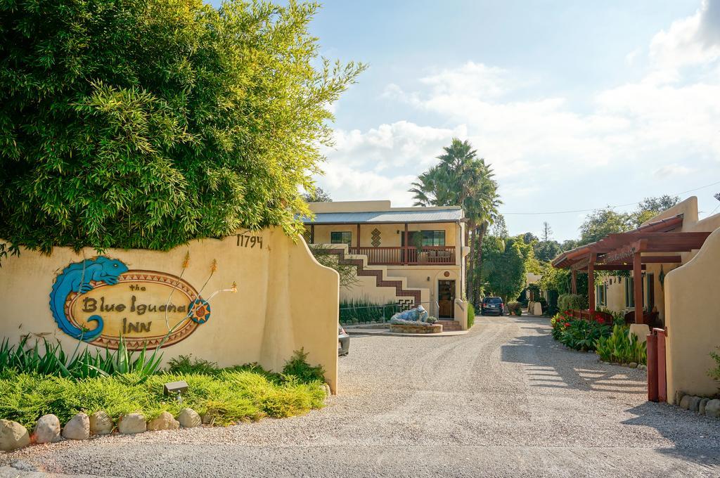 Blue Iguana Inn Ojai ภายนอก รูปภาพ
